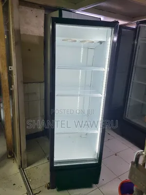 400litres Refrigerator Commercial Mirror Fridge
