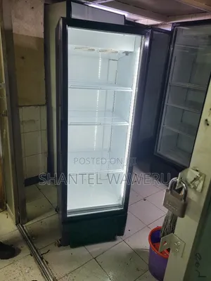 400litres Refrigerator Commercial Mirror Fridge