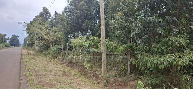 2 Acres Available Land for Sale in Thigio - thumbnail 4