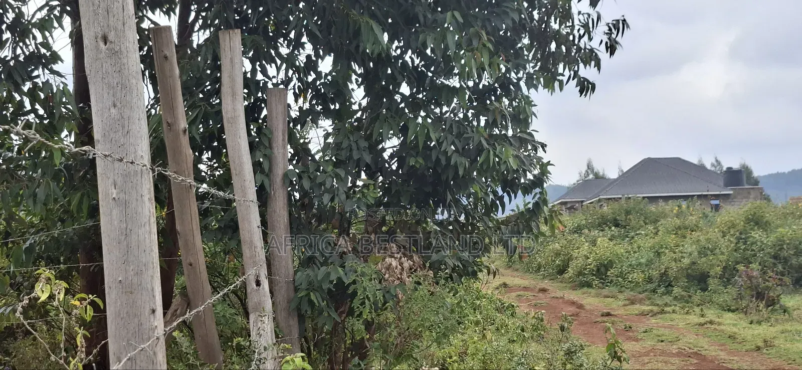 50x100 Available Plot for Sale in Kikuyu Thigio