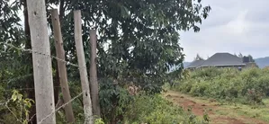 50x100 Available Plot for Sale in Kikuyu Thigio