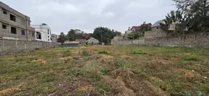 50*100 Plots for Sale in Kamakis, Ruiru at Kes 10m