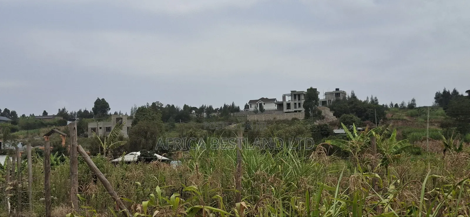 100x100 Available Plot for Sale in Kikuyu Lusigetti Kiambu County