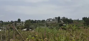 100x100 Available Plot for Sale in Kikuyu Lusigetti Kiambu County