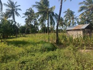 Malindi 60 Acres With A Permanent River - thumbnail 2