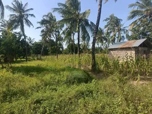 Malindi 60 Acres With A Permanent River