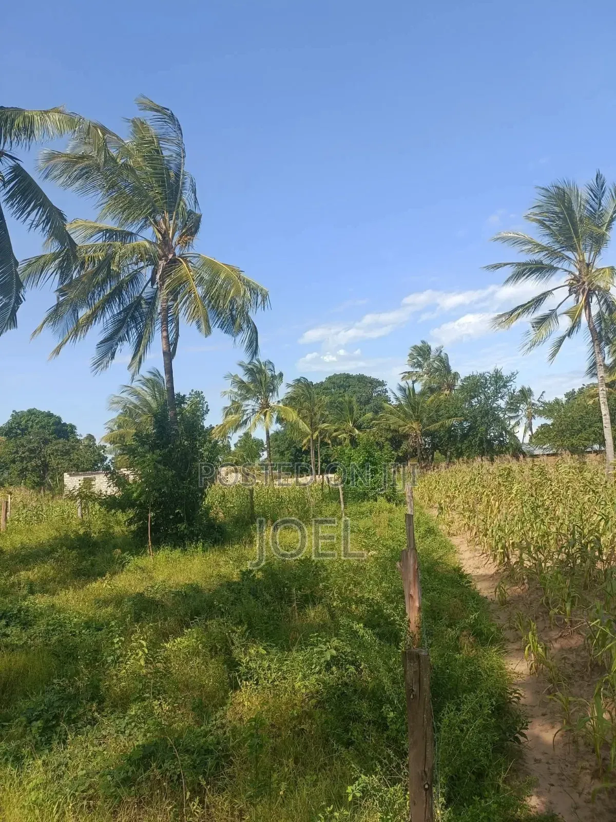 Malindi 80 Acres With a Permanent River