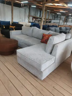 Modern Inviting Design Sofa