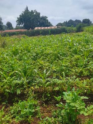 50 by 100 Rukuma, - thumbnail 2