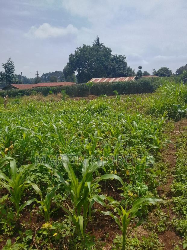 50 by 100 Rukuma, - thumbnail 3