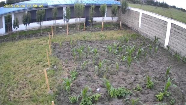 Farm Fully Equipped. - thumbnail 4