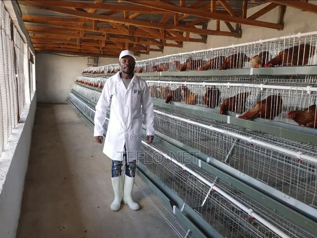 Farm Fully Equipped. - thumbnail 6