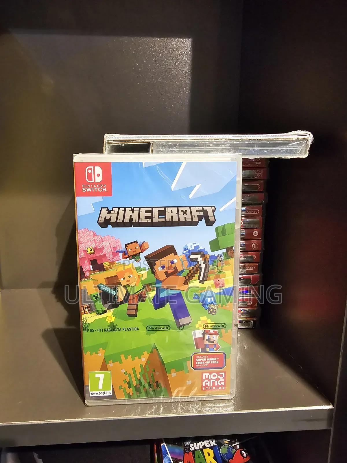 Nintendo Switch Minecraft