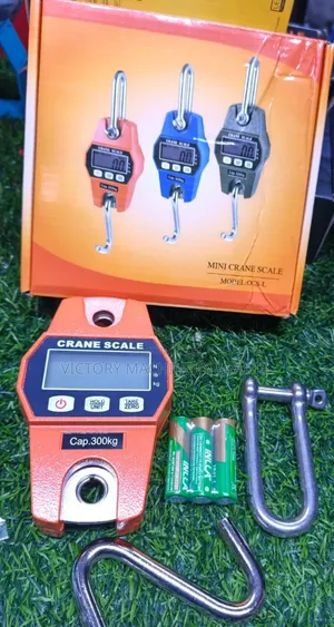 300kg Crane Scale