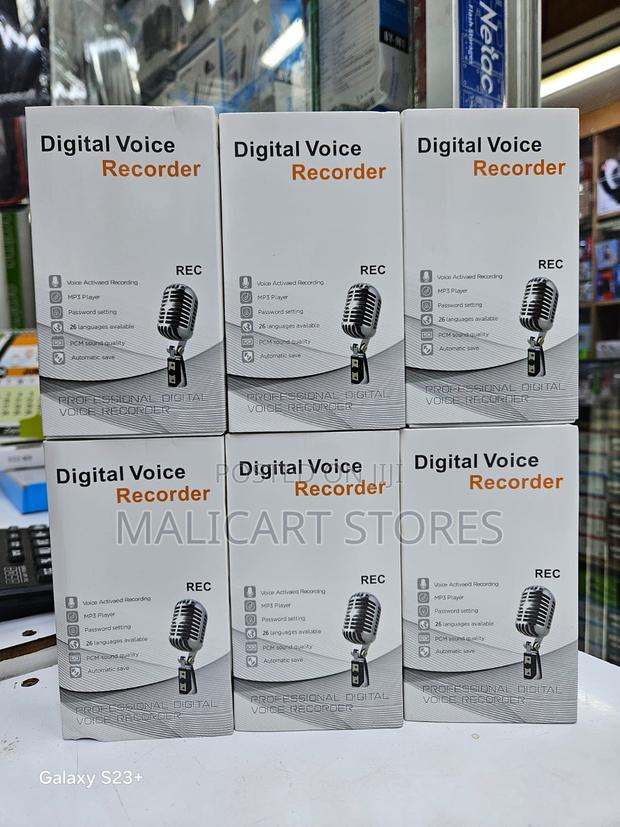Digital Voice Recorder - main view