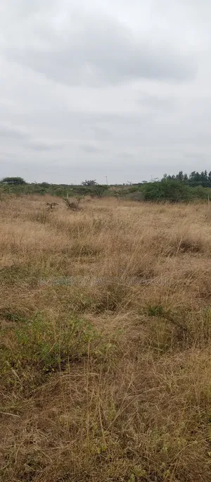 5acre's of Land for Sale Near Entarakwet Hotel, Kiserian Ishinya Road