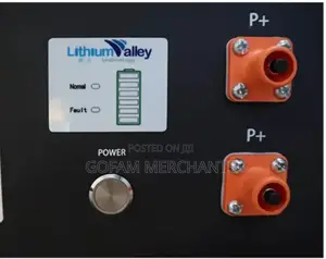 Lithium Valley 5kwh 51.2v Lithium Battery Lv-Bat-R5.12