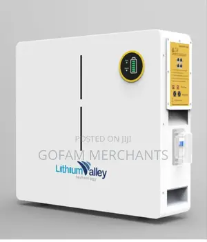 Lithium Valley 5.12kw 51.2v 100ah Lithium Ion Wall Mount Battery
