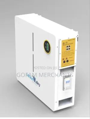Lithium Valley 5.12kw 51.2v 100ah Lithium Ion Wall Mount Battery