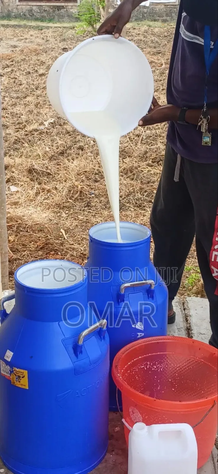 Fresh Milk