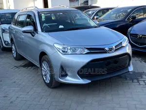 Toyota Corolla Fielder 2018 Silver