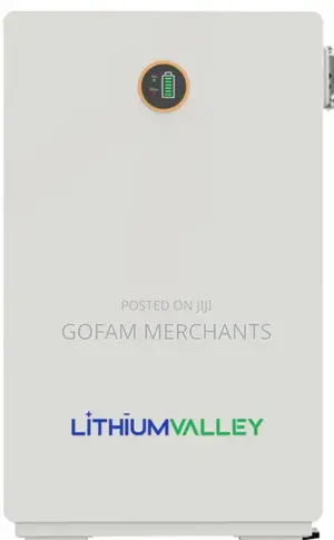 Lithium Valley 10.24kwh 51.2v Lithium Ion Battery Lv-Bat-W10.24ac