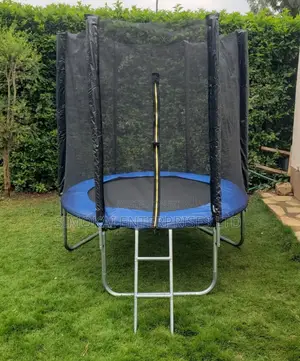 6ft Trampoline With Ladder & With Safety Enclosure Net, Outdoor