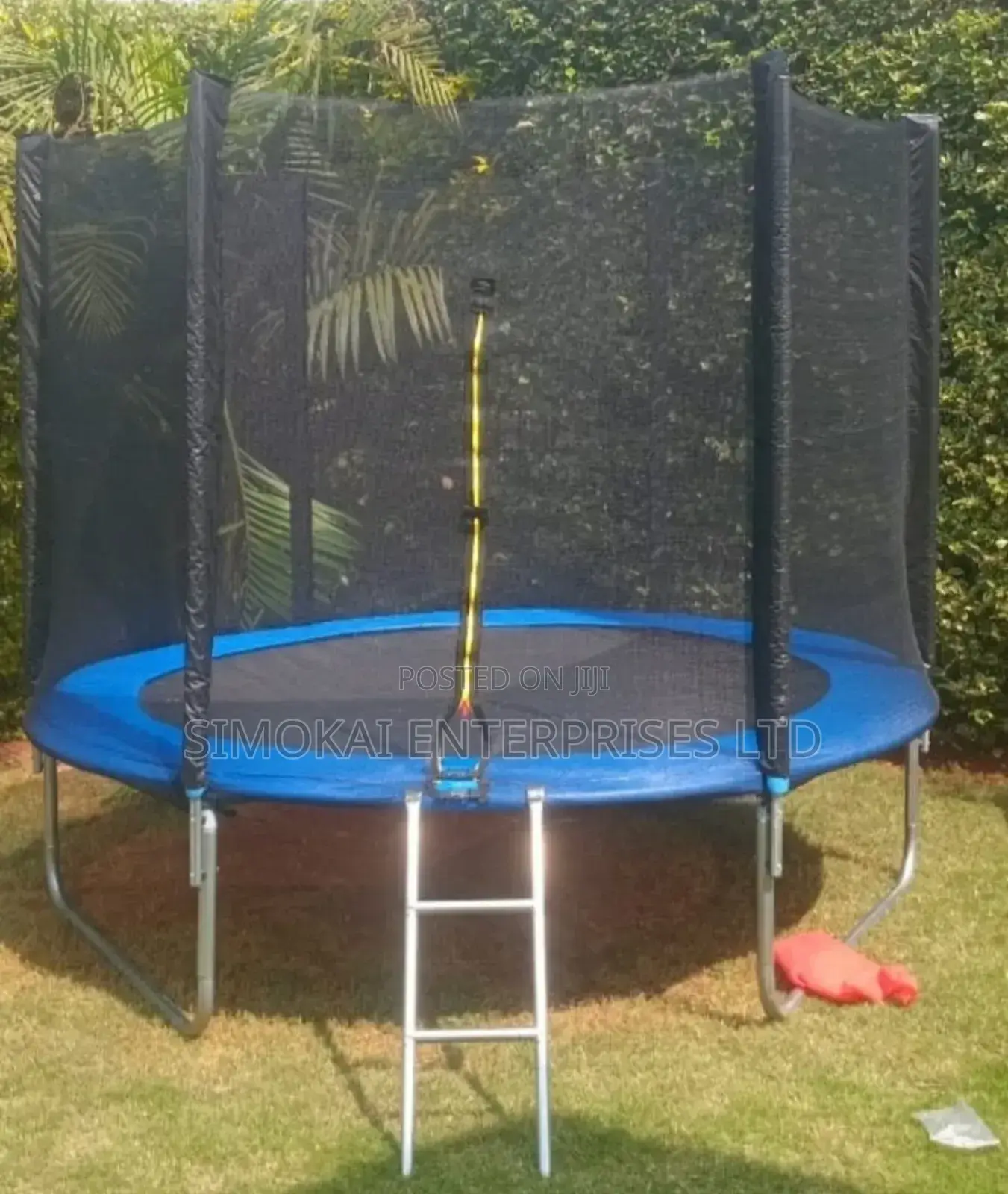 10ft Trampoline With Ladder & With Safety Enclosure Net, Outdoor