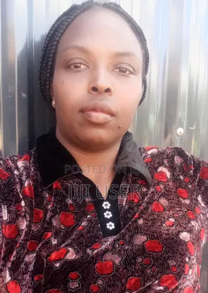 Teaching Mathematics, Economics and Business.