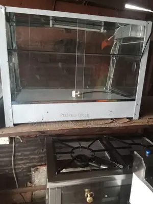 Chips Display Warmer Electric