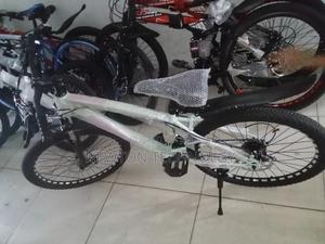 Bike Size 24 - main view