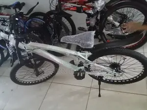 Bike Size 24
