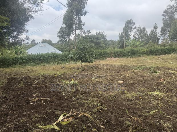 Eighth Olkeri - thumbnail 4