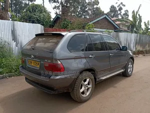 BMW X5 3.0d Automatic 2005 Gray