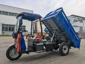 2 Ton Diesel Cargo Tuktuk (Tipper)
