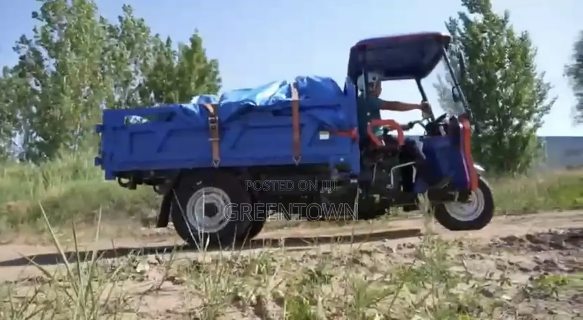 2 Ton Diesel Cargo Tuktuk (Tipper)