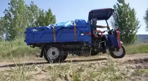 2 Ton Diesel Cargo Tuktuk (Tipper)