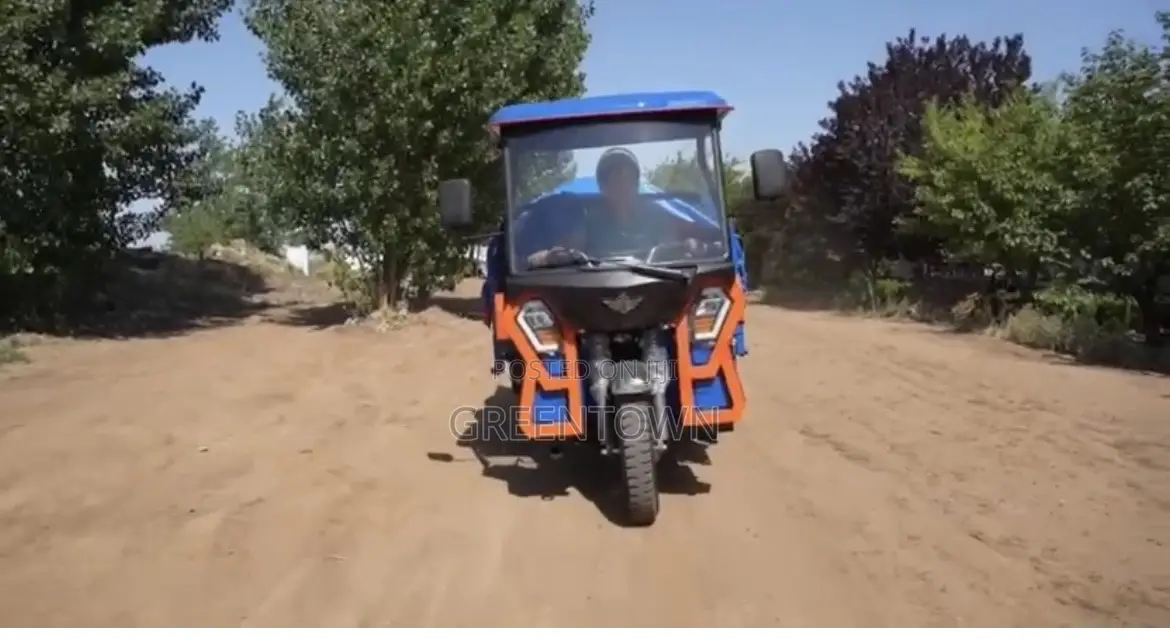 2 Ton Diesel Cargo Tuktuk (Tipper)