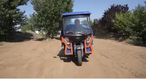 2 Ton Diesel Cargo Tuktuk (Tipper)