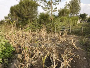 Eighth Acre Plot for Sale in Ngong, Olkeri 50 Meters From Tarmac