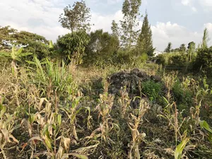 Eighth Acre Plot for Sale in Ngong, Olkeri 50 Meters From Tarmac