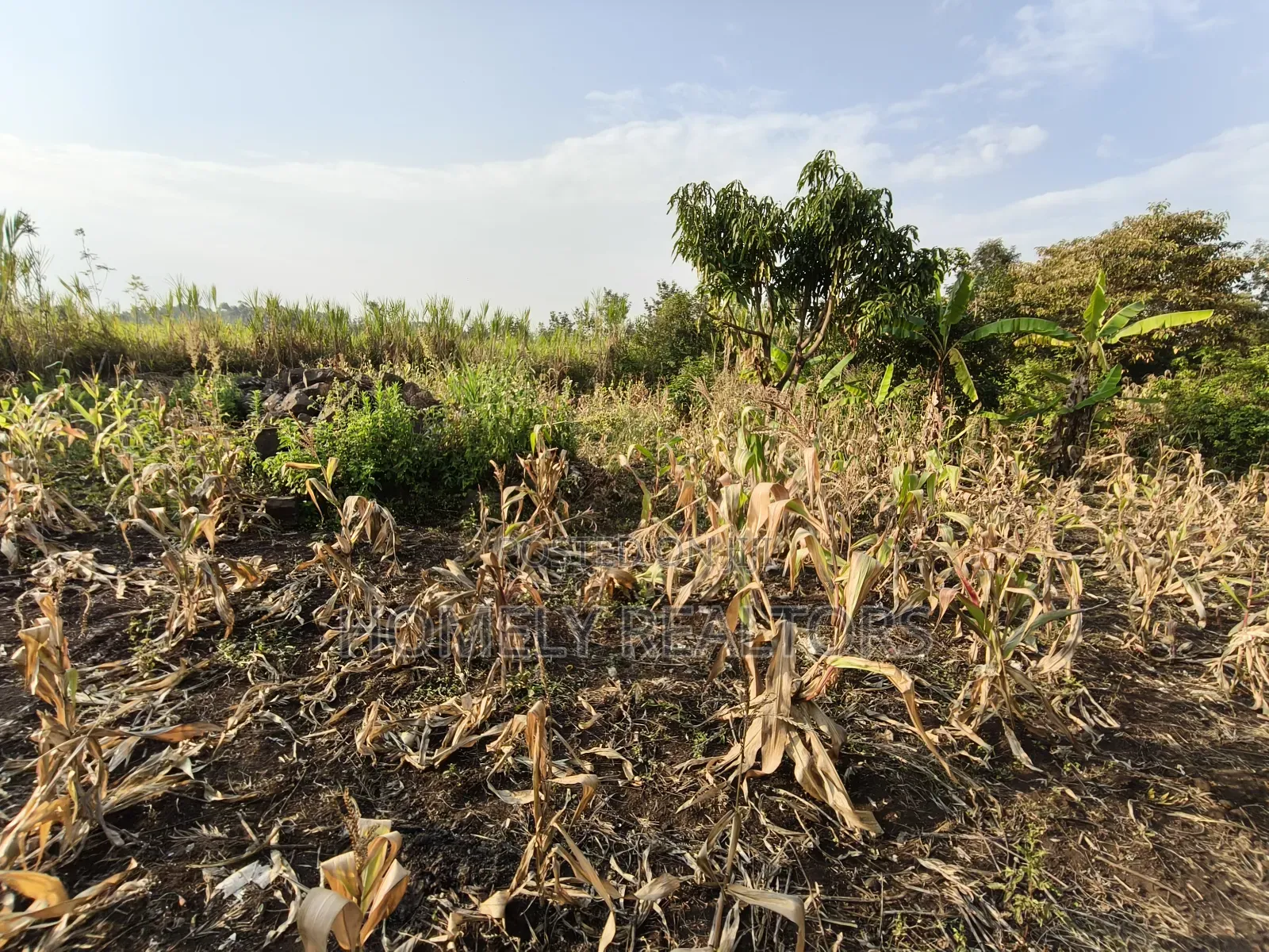 Eighth Acre Plot for Sale in Ngong, Olkeri 50 Meters From Tarmac