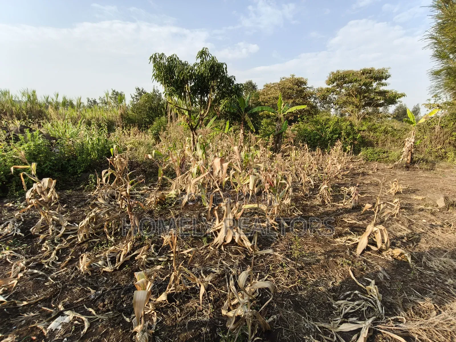 Eighth Acre Plot for Sale in Ngong, Olkeri 50 Meters From Tarmac