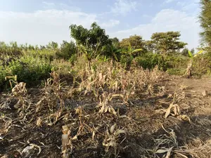 Eighth Acre Plot for Sale in Ngong, Olkeri 50 Meters From Tarmac
