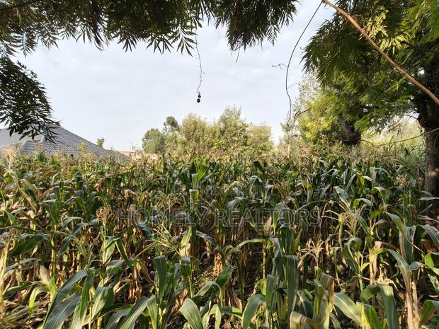 Residential Eighth Acre Plot in Ngong, Olkeri 250 Meters From Tarmac - main view