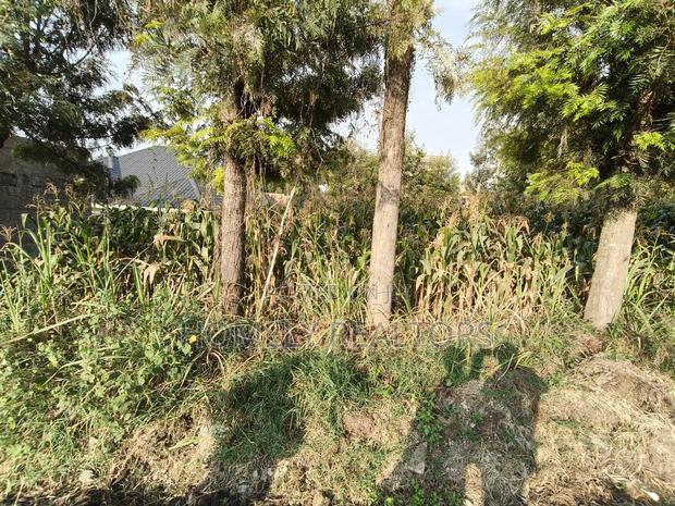 Residential Eighth Acre Plot in Ngong, Olkeri 250 Meters From Tarmac - thumbnail 3
