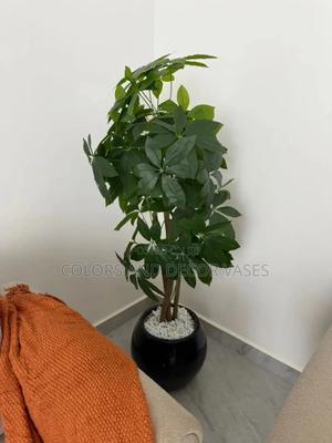 Mango Plant in Fibre Glass Happy Client - thumbnail 2