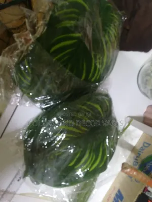 Stripped Leaves Available