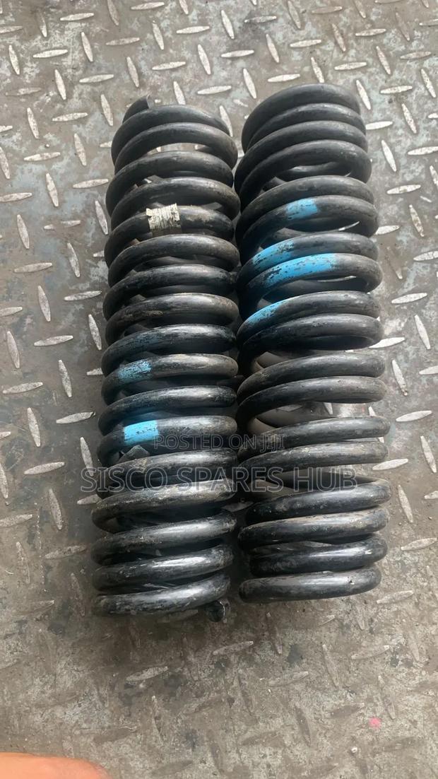 Heavy Duty Coil Springs Probox