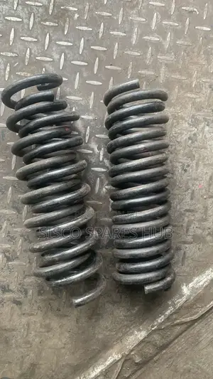 Heavy Duty Coil Springs Probox